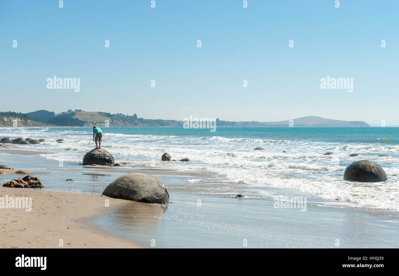 Moeraki Boulders son una popular atracción turística compuesta por un grupo de grandes piedras "esféricos" en Koekohe Beach Foto de stock