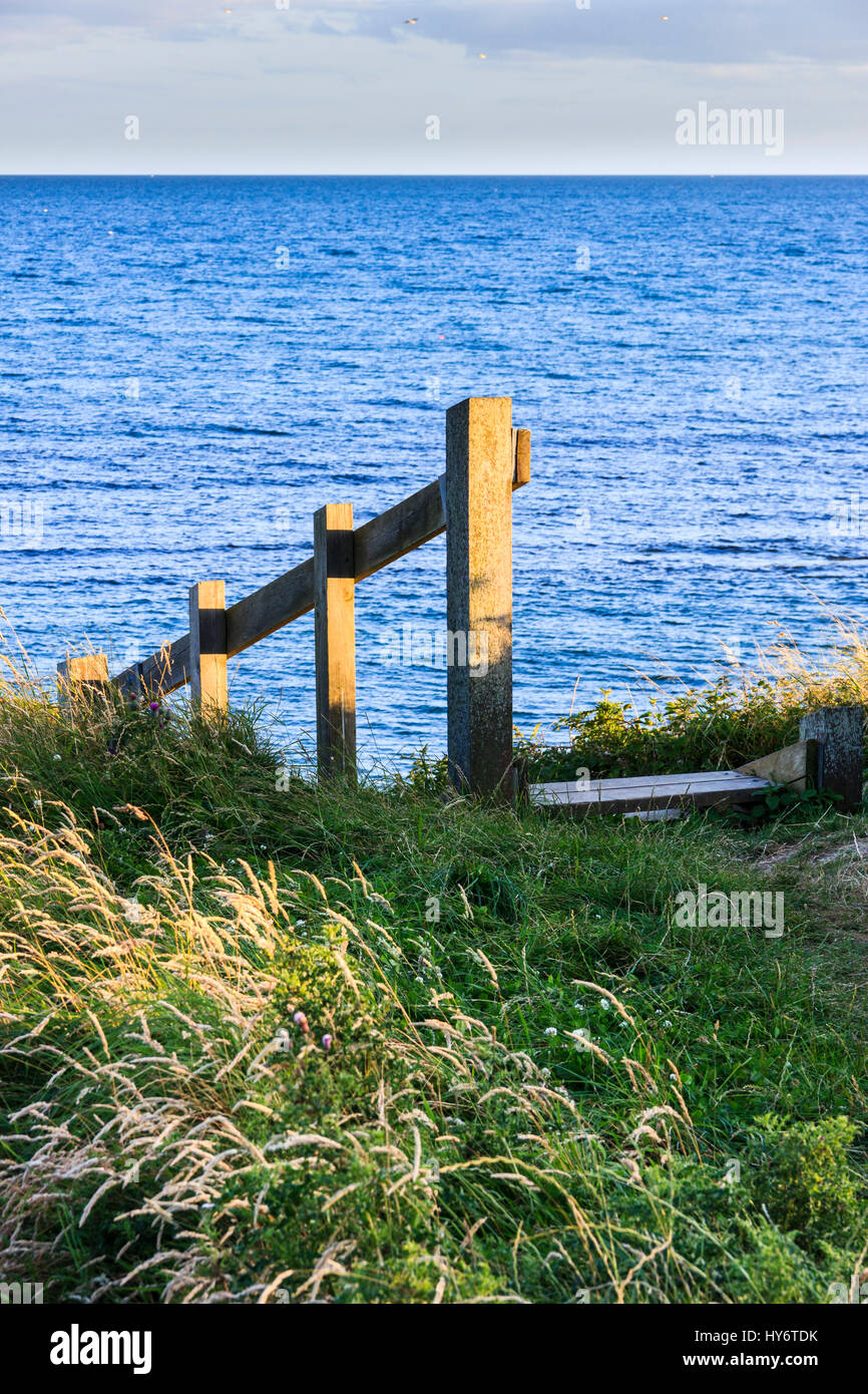 Una escalera de madera para bajar a la playa desde la costa suroeste Path en la Bahía de Ringstead, Dorset, Inglaterra, Reino Unido. Foto de stock