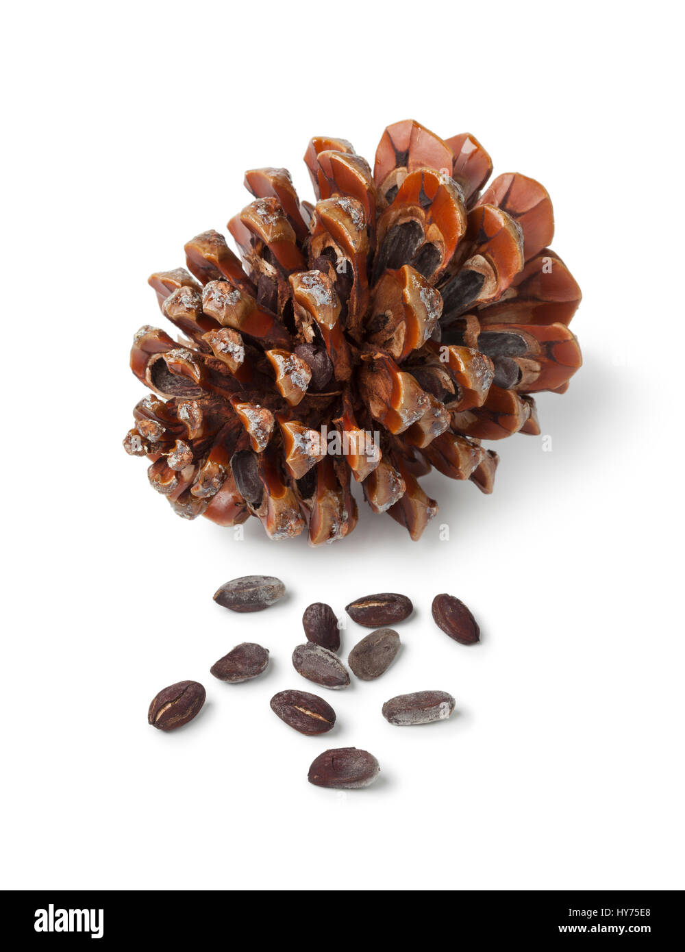 Cono de pino piñonero, pinoli y semillas sobre fondo blanco. Foto de stock