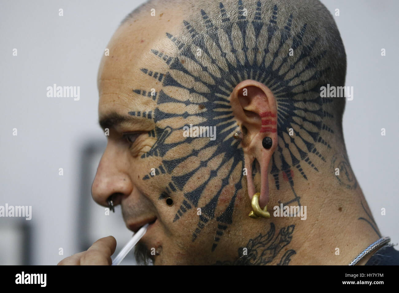 Tribe Tattoo - Dilatación de 4 mm en la concha de la oreja con joyería de  cristal de la casa Gorila Glass - Tribe Tattoo Santander