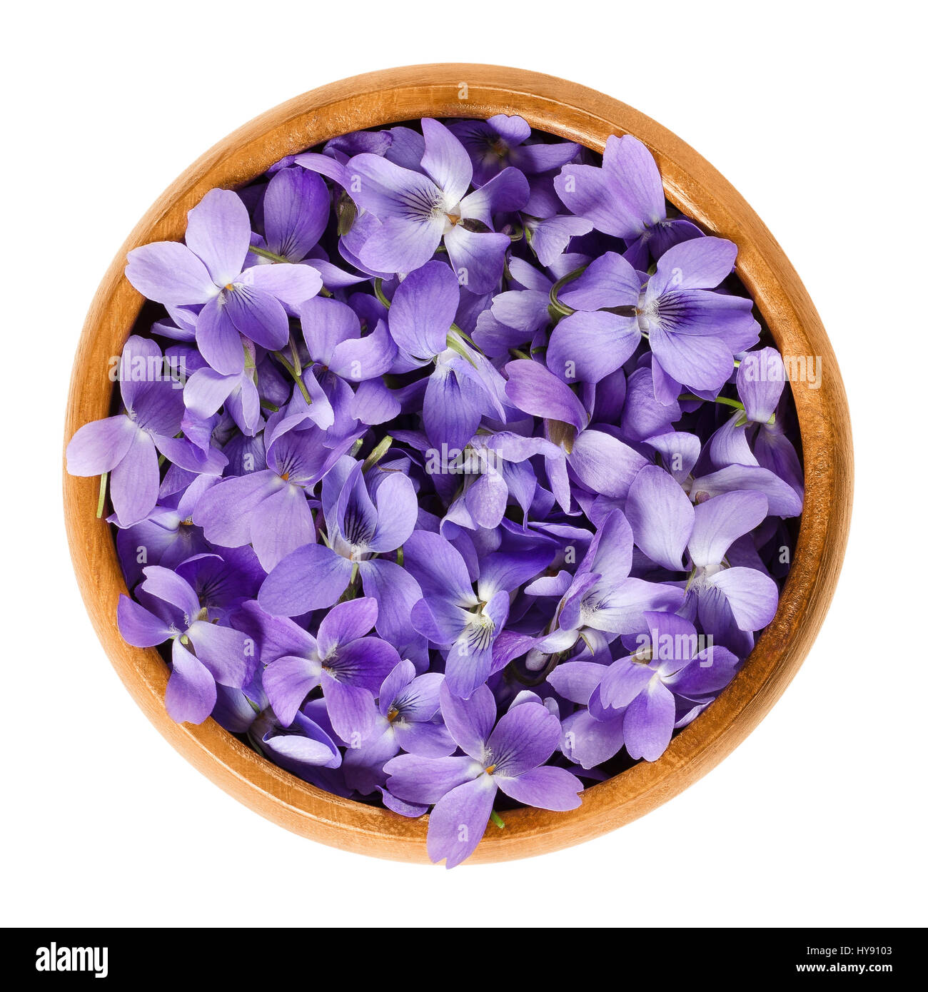 Flores violetas silvestres en el tazón de madera. También la madera, dulce,  Inglés, jardín común o violeta. Viola odorata. Flores comestibles,  utilizados como decoración de ensaladas Fotografía de stock - Alamy