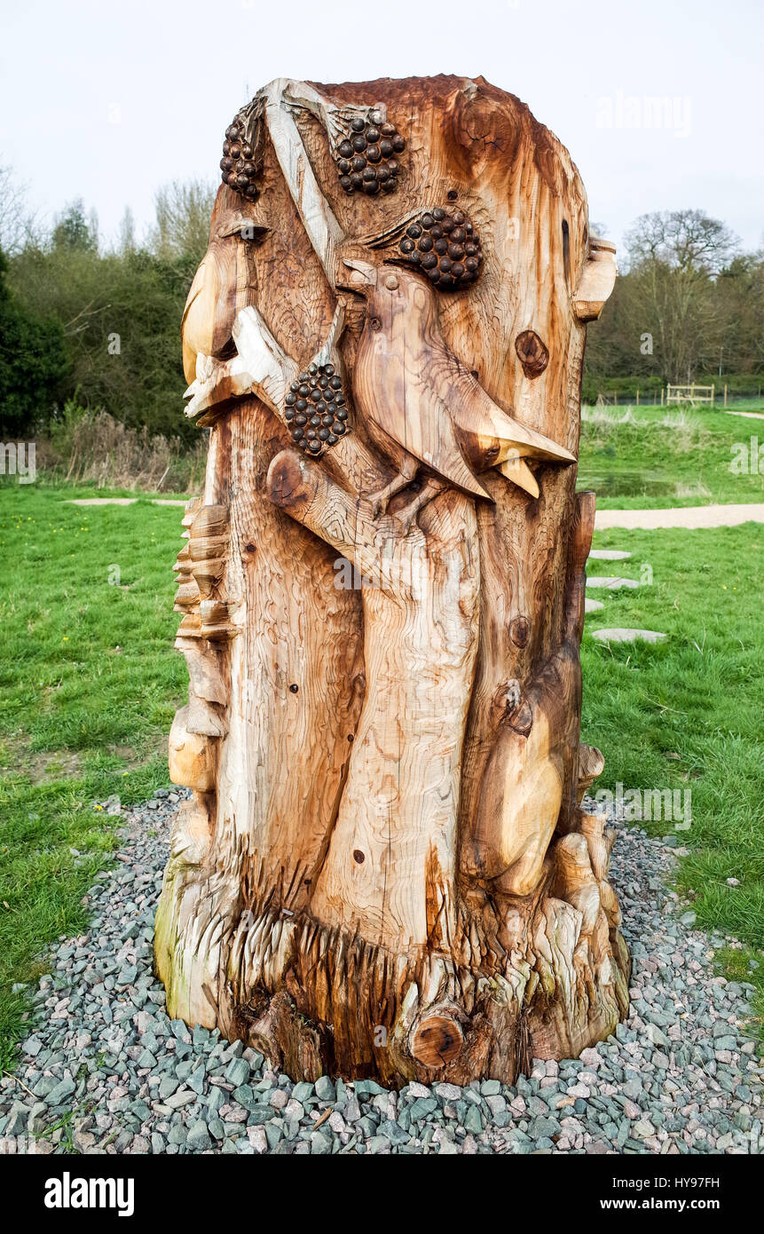Escultura en madera tallada Trumpington Meadows Country Park, Cambridge, Reino Unido Foto de stock