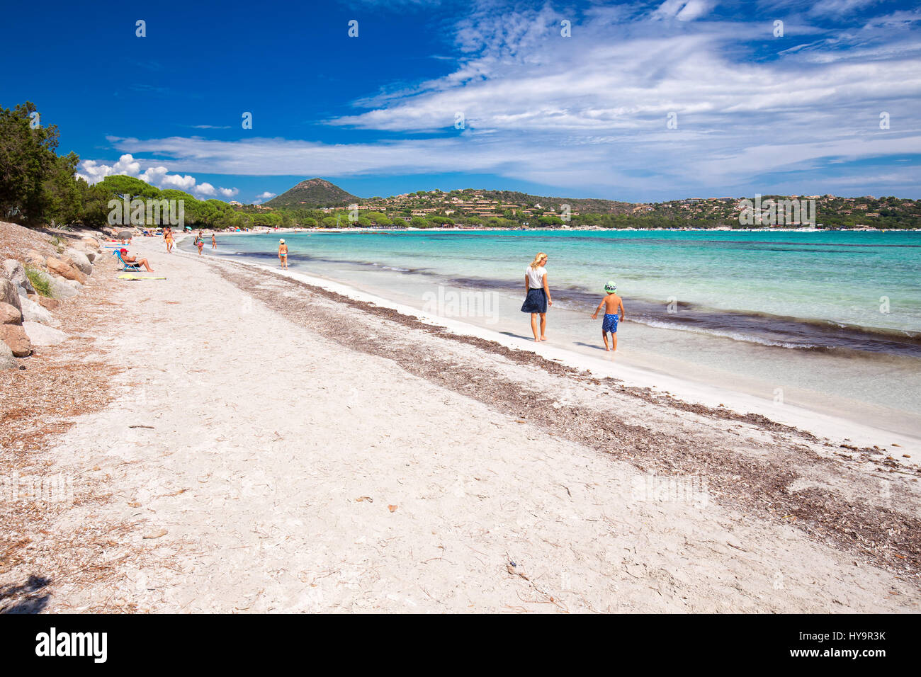 Playa de Palombaggia arenosa con pinos y claras aguas azules, Córcega, Francia, Europa. Foto de stock