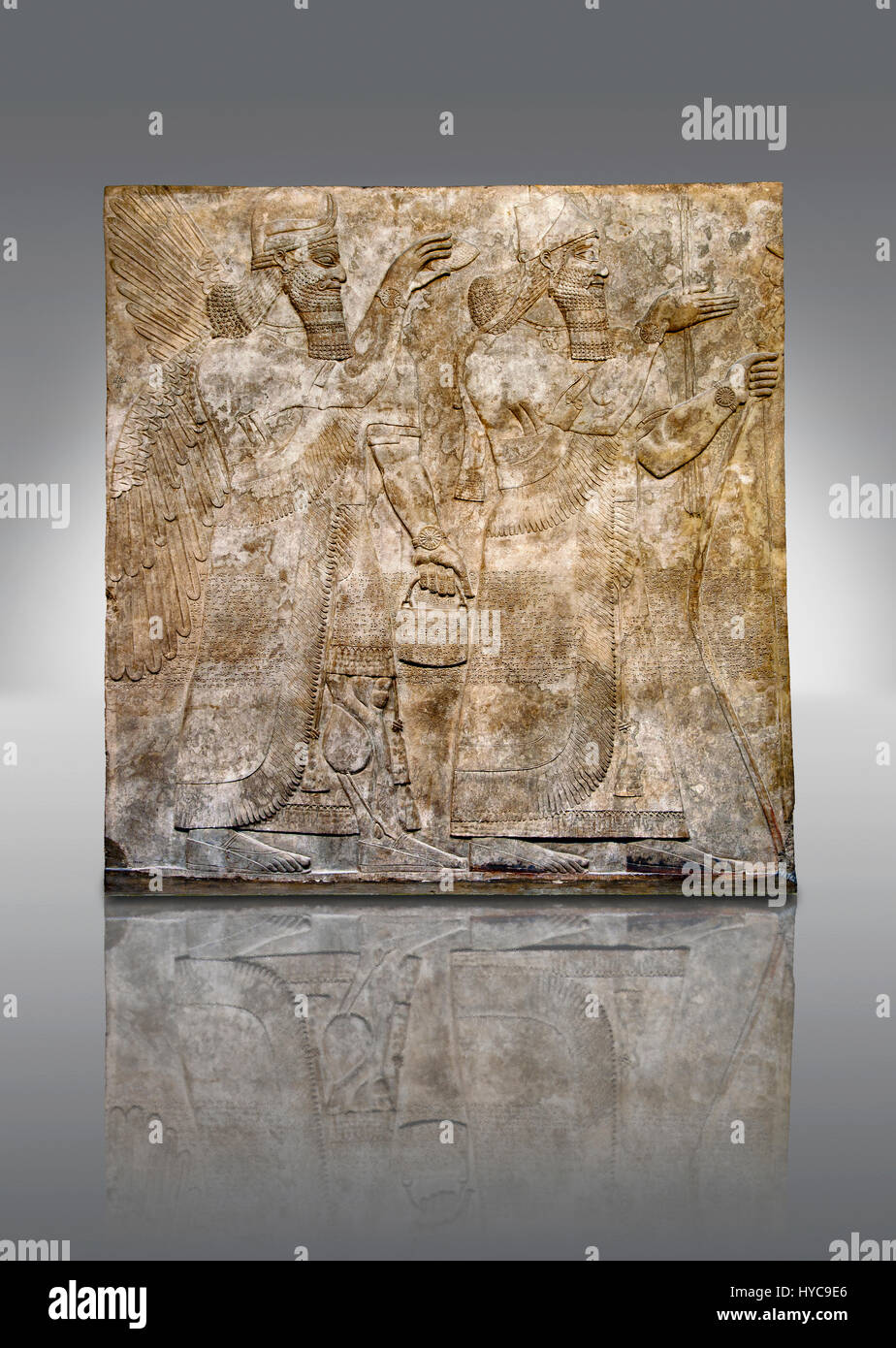 Panel de socorro de la escultura asiria del Rey Ashurnaspiral II, derecho y un espíritu protector alado sosteniendo un balde de agua bendita en una mano y un cono Foto de stock