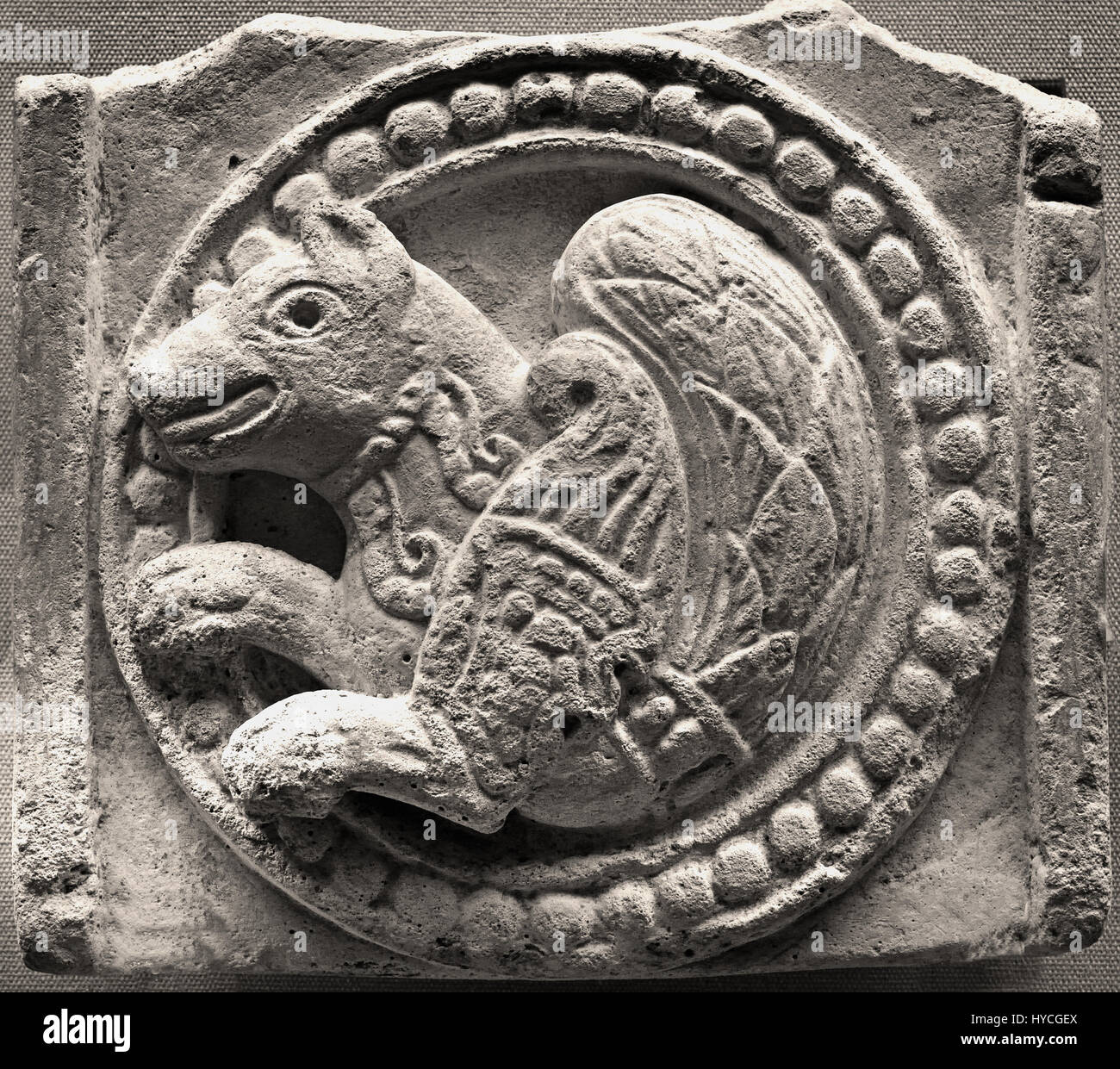 Placa de estuco de un Senmurv. Chal Tarkan, Irán, 7 / 8 siglo ( Esta Sasán bestia mítica motif continúa en la temprana época islámica iraní ). Foto de stock
