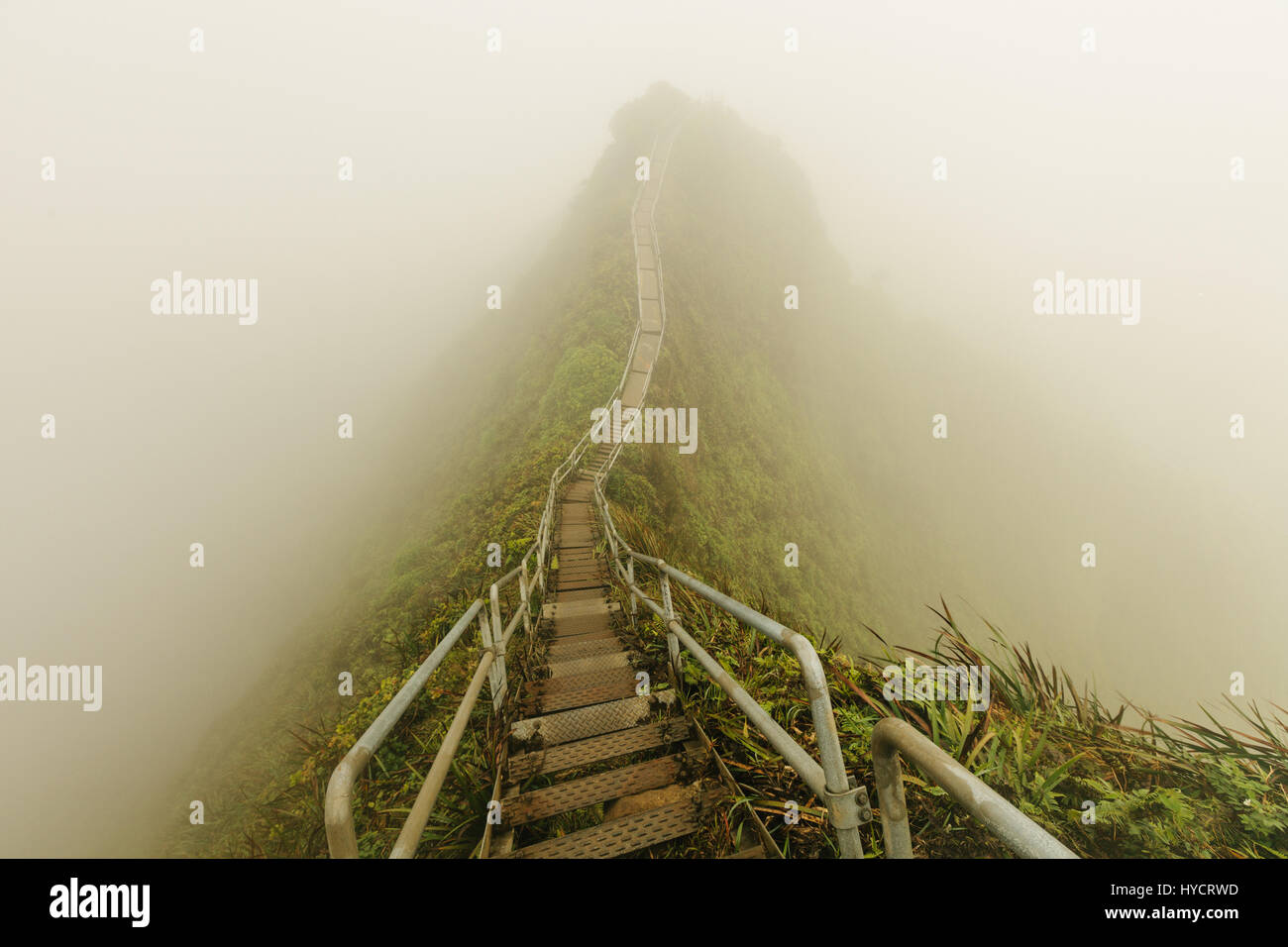 El haiku es un escaleras resbaladizas y secretista caminata en Oahu Foto de stock