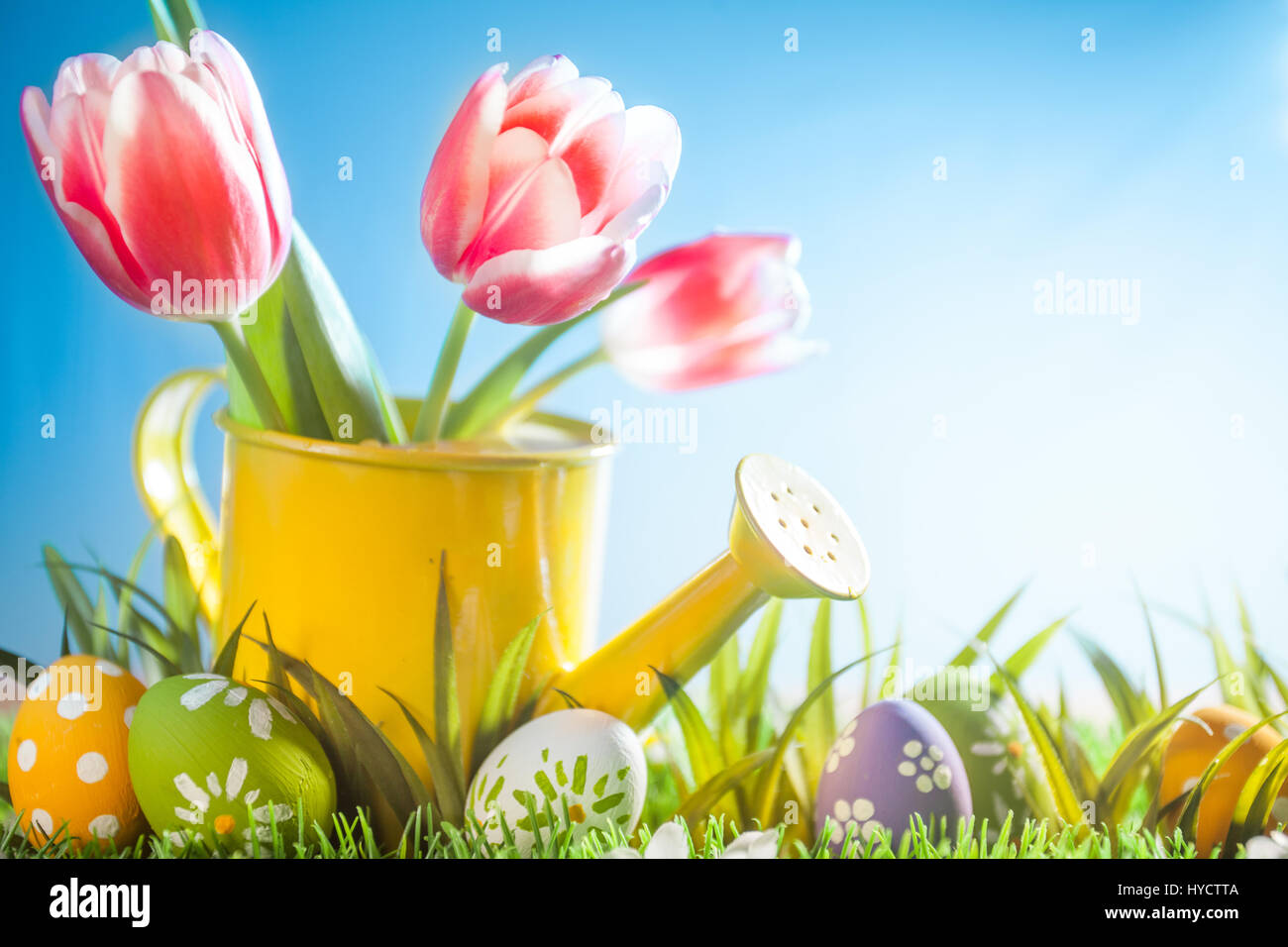 Vacaciones de Pascua con huevo y flores de tulipán en hierba Foto de stock