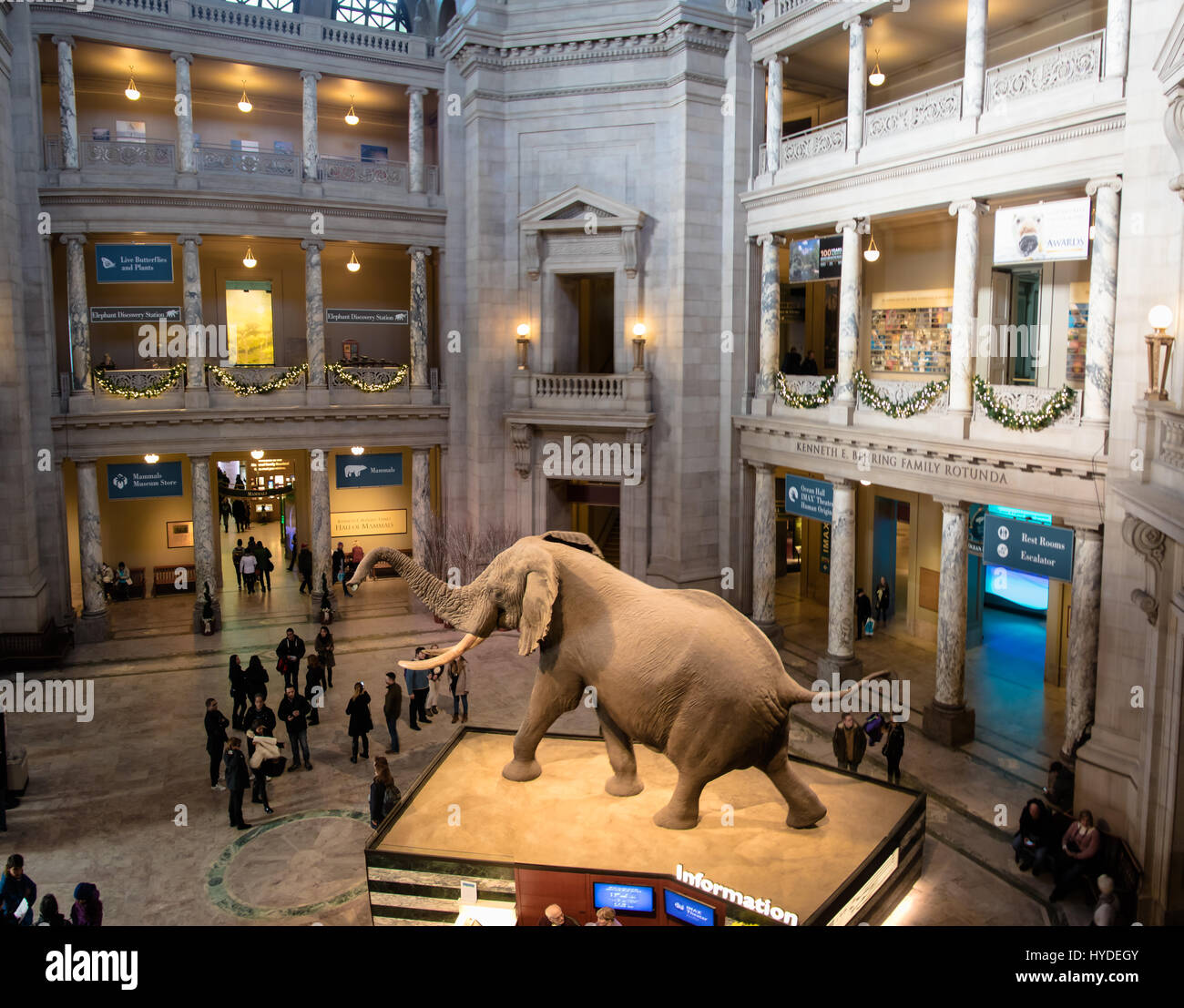 Álbumes 18+ Foto museo smithsonian de historia natural Cena hermosa