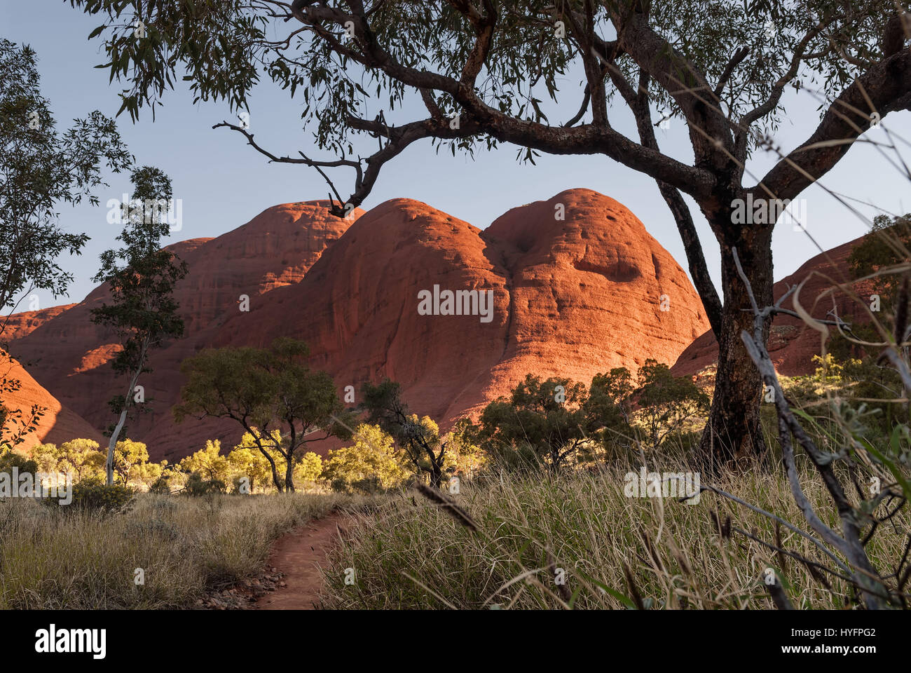 Kata Tjuta (las Olgas) formación rocosa natural. El Territorio del Norte, Australia Foto de stock