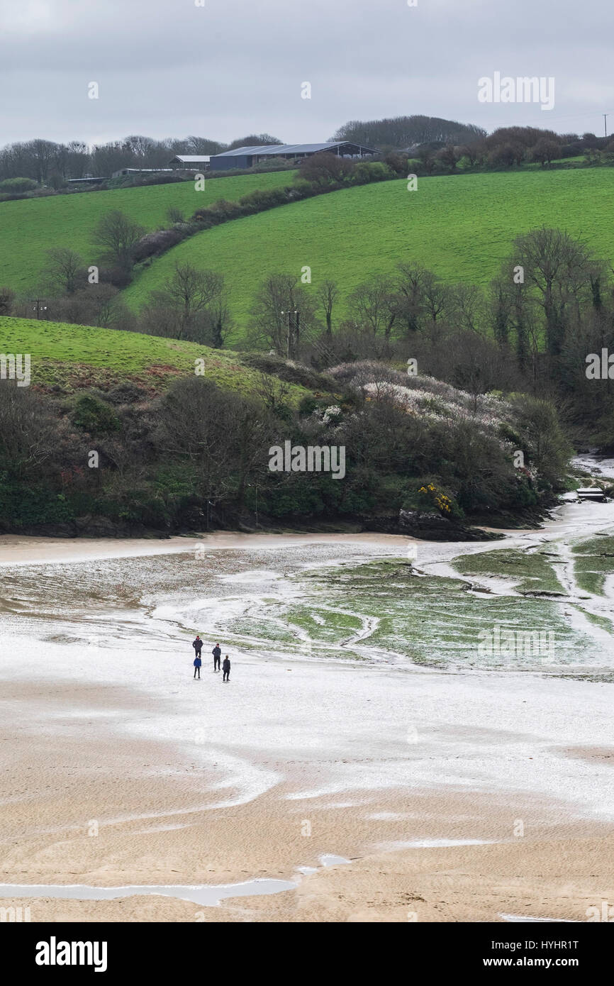 Pen Pol Creek cuatro personas caminando en marea baja estuario Gannel costa de arena Foto de stock
