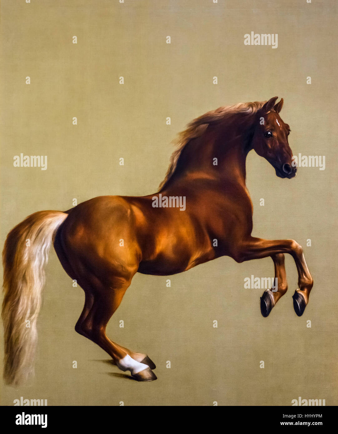 Pinturas de caballos fotografías e imágenes de alta resolución - Alamy
