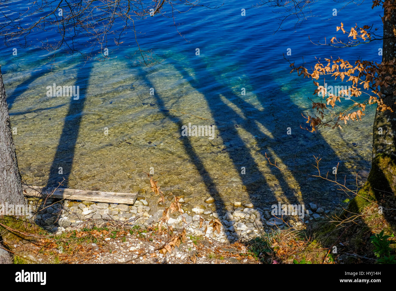 Lago Fuschlsee vistos a través de las sombras de los árboles Foto de stock