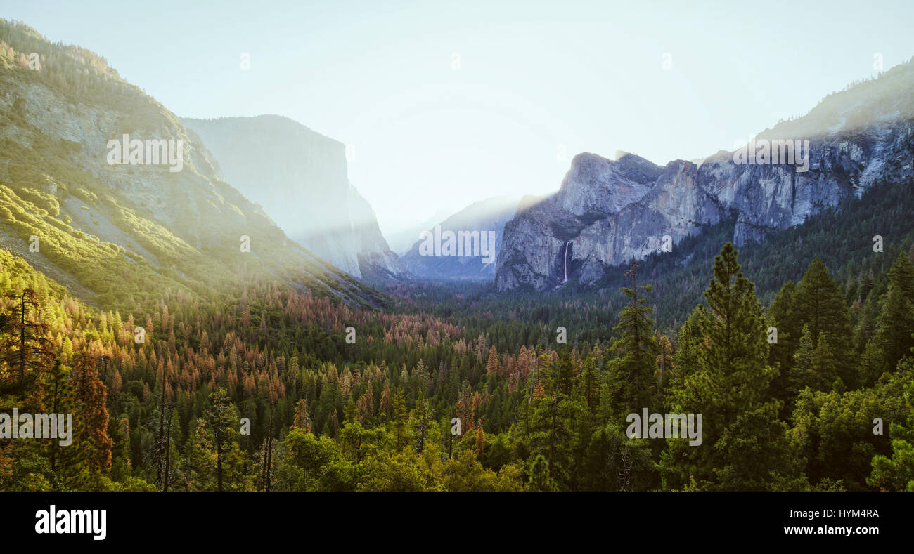 Classic vista de túnel del pintoresco valle de Yosemite con la famosa El Capitan y Half Dome, la escalada en roca en cumbres doradas la luz de la mañana al amanecer. Foto de stock