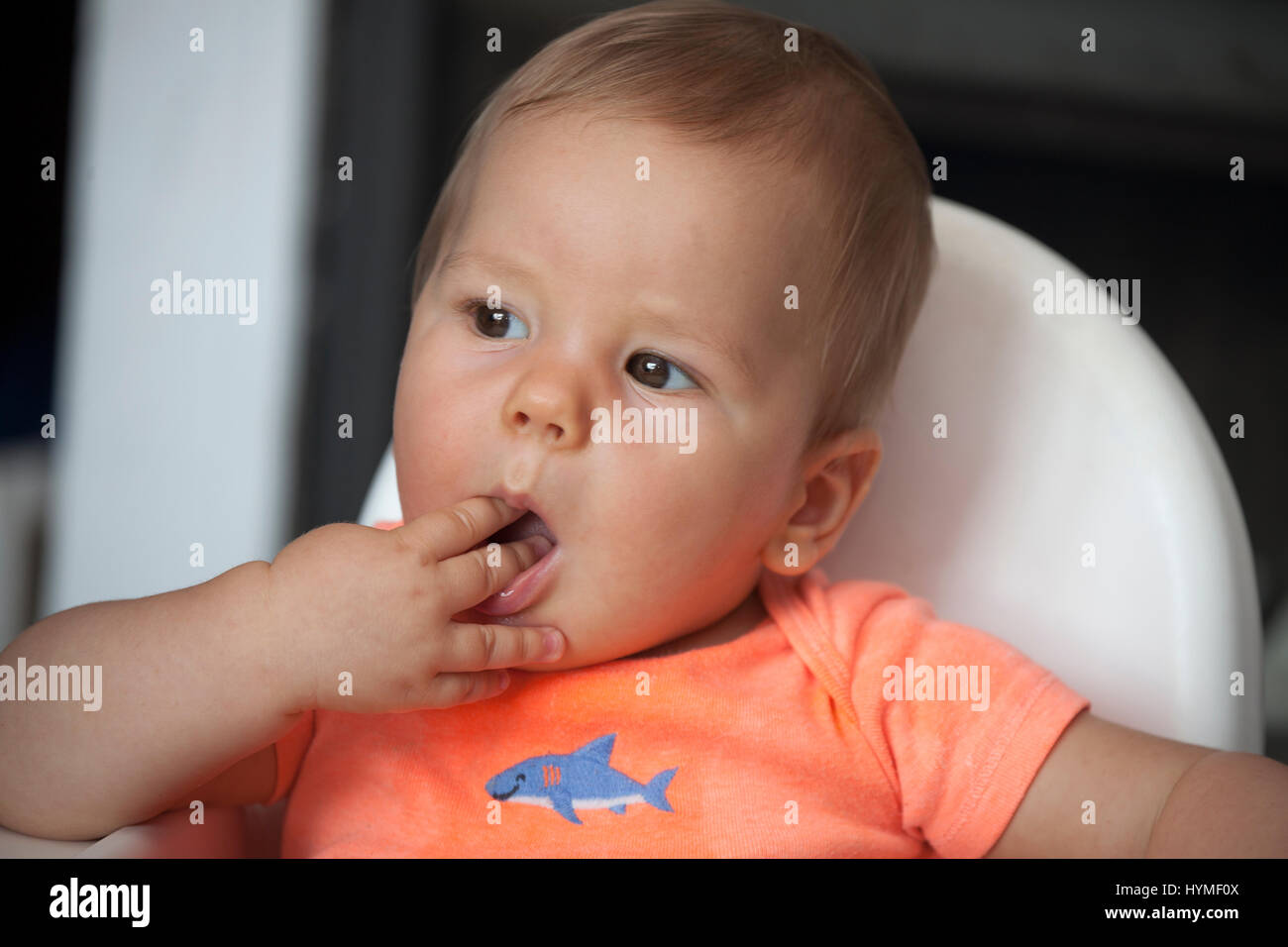 Bebe Sentado En Su Silla Alta De Sonar Con Su Proxima Comida Bebe Polaco De 7 Meses De Edad Zawady Polonia Central Europa Fotografia De Stock Alamy Bebe Sentado En Su Silla Alta De Sonar Con Su Proxima Comida Bebe Polaco De 7 Meses De Edad Zawady Polonia Central Europa Fotografia De Stock Alamy