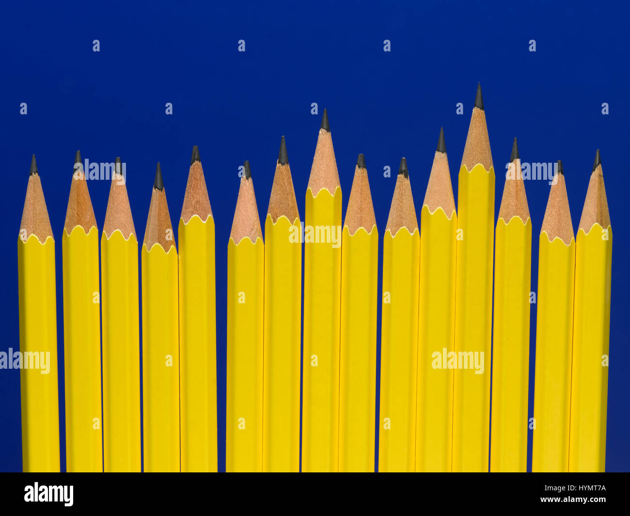 Lápiz amarillo aislado sobre un fondo azul. Foto de stock