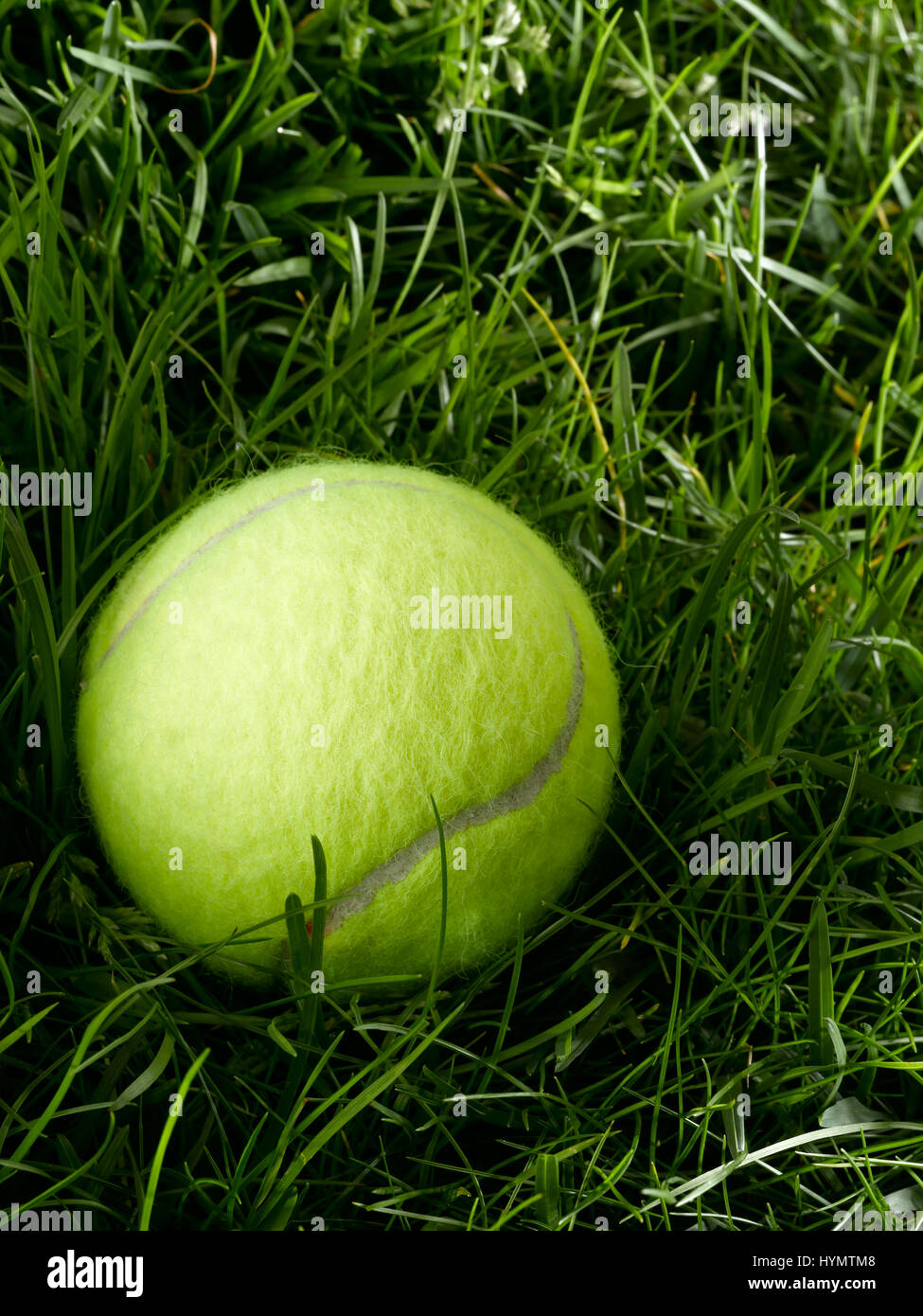 Pelota de Tenis en hierba Foto de stock