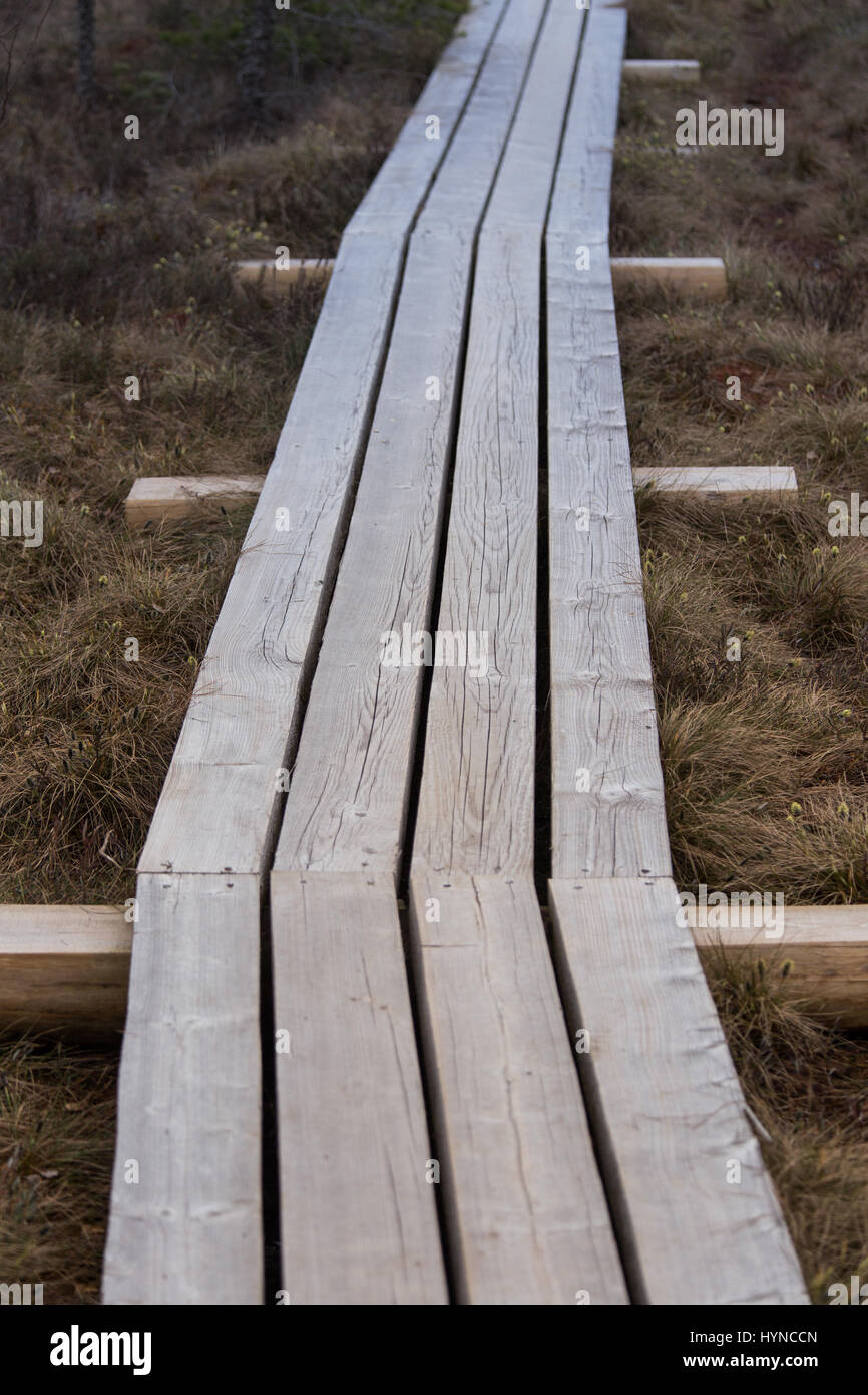 Un hermoso sendero de madera en una primavera marsh Foto de stock