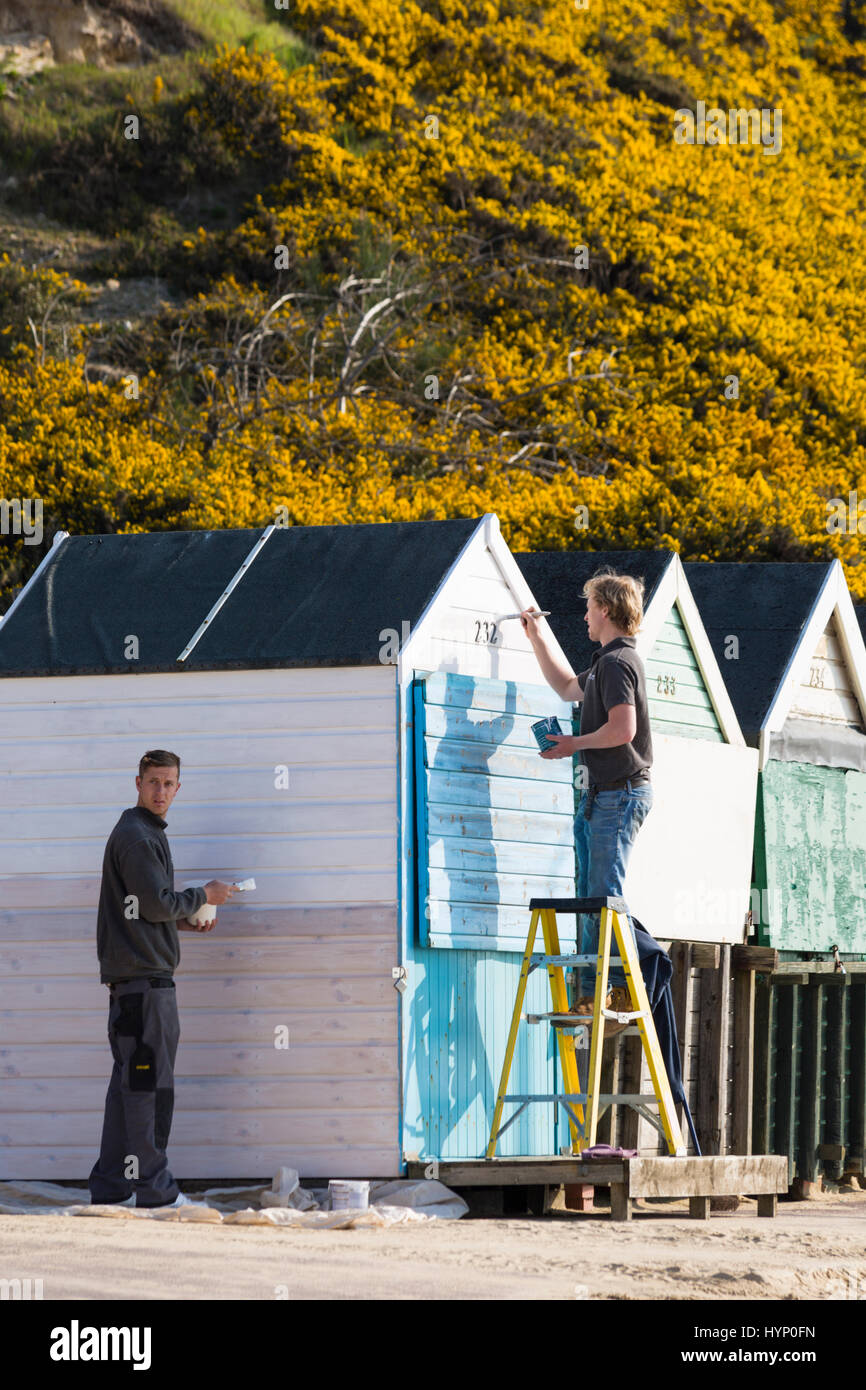 Bournemouth, Dorset, Reino Unido. 6 abr, 2017. El clima del REINO UNIDO: hermoso día soleado, cálido como visitantes cabeza a la orilla del mar para aprovechar el sol en las playas de Bournemouth. Los hombres pintura casetas de playa de crédito: Carolyn Jenkins/Alamy Live News Foto de stock