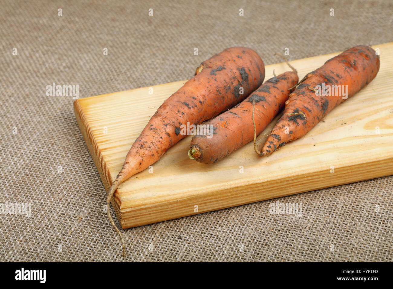 Tres zanahorias sucio fresca cruda con el suelo rústico de madera placa de corte picado sobre lienzo de cerca un alto ángulo de visualización Foto de stock