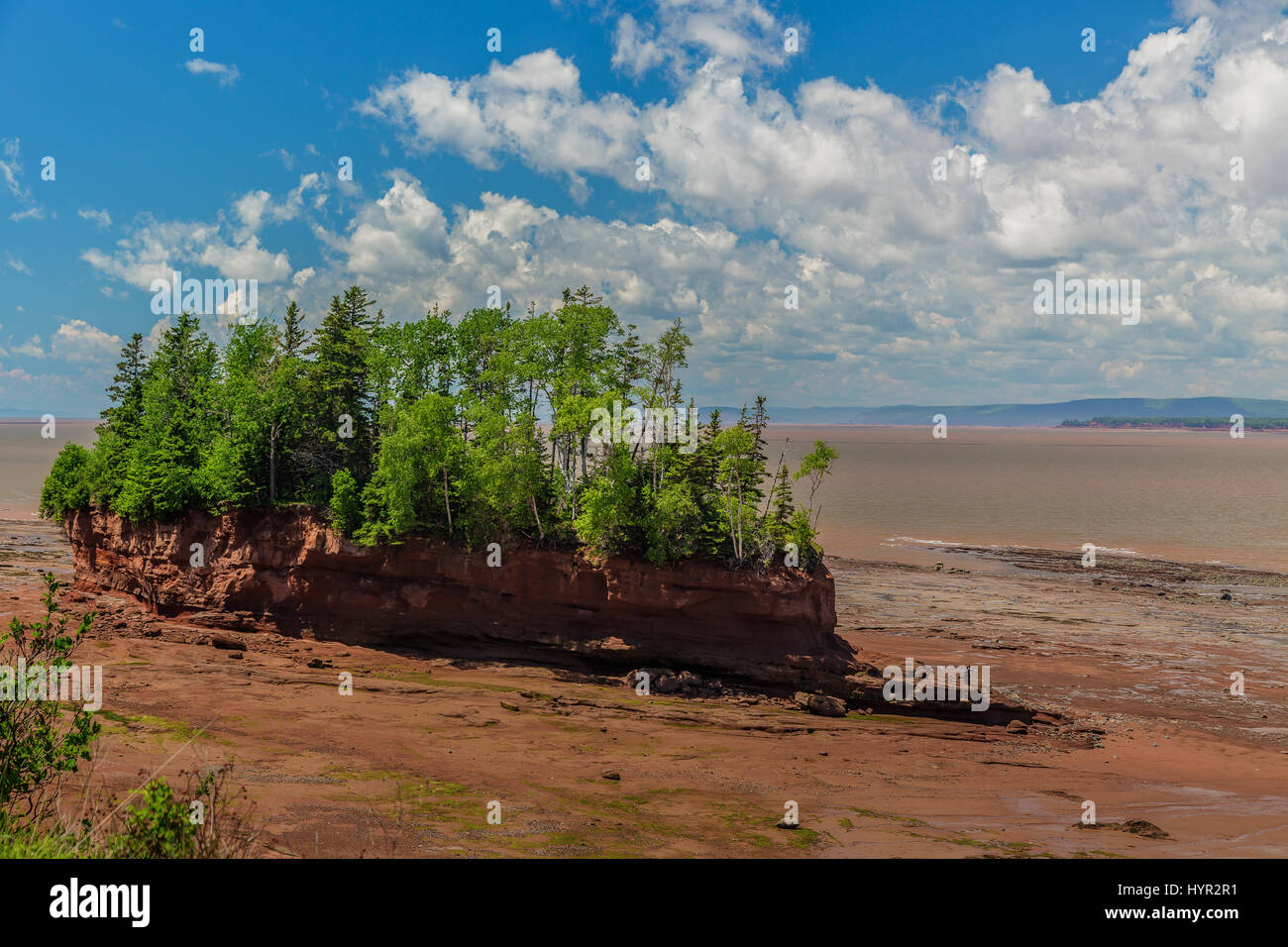 Playa De La Marea Baja En La Bahía De Fundy Nuevo Brunswick - El