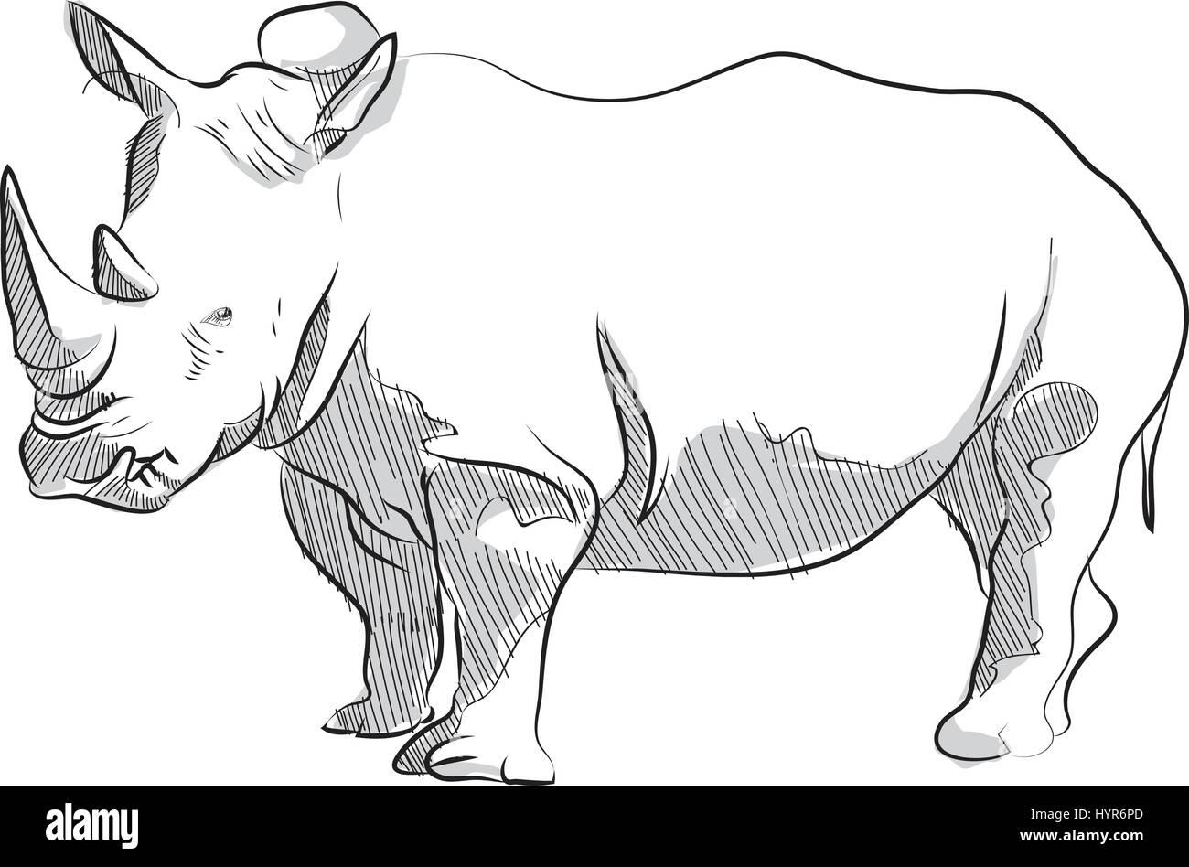 Rinoceronte dibujo Imágenes vectoriales de stock - Alamy