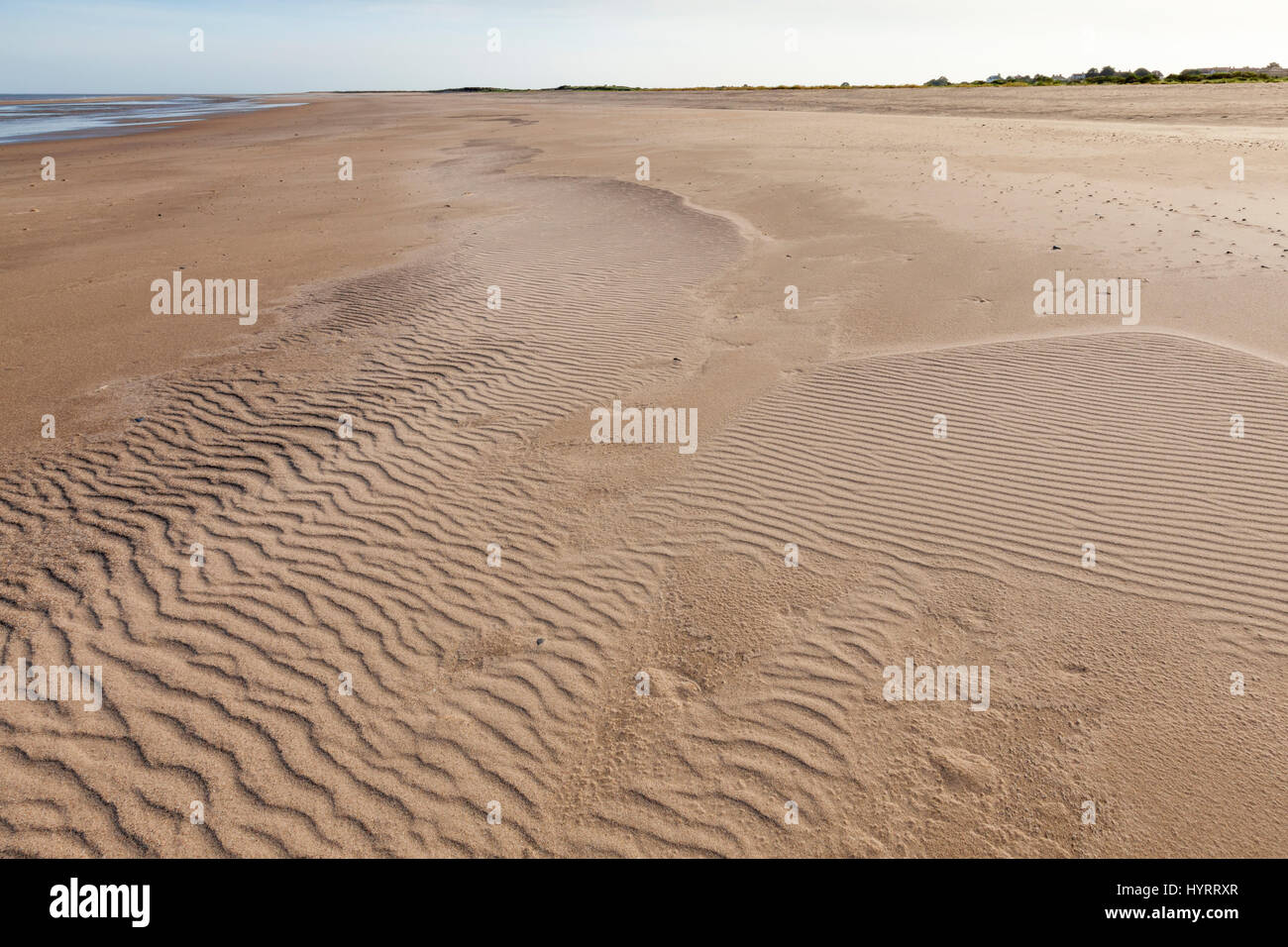 La playa de la costa oriental. Ondulaciones en la arena de una playa vacía en Gibraltar, Punto de Lincolnshire, Inglaterra, Reino Unido. Foto de stock