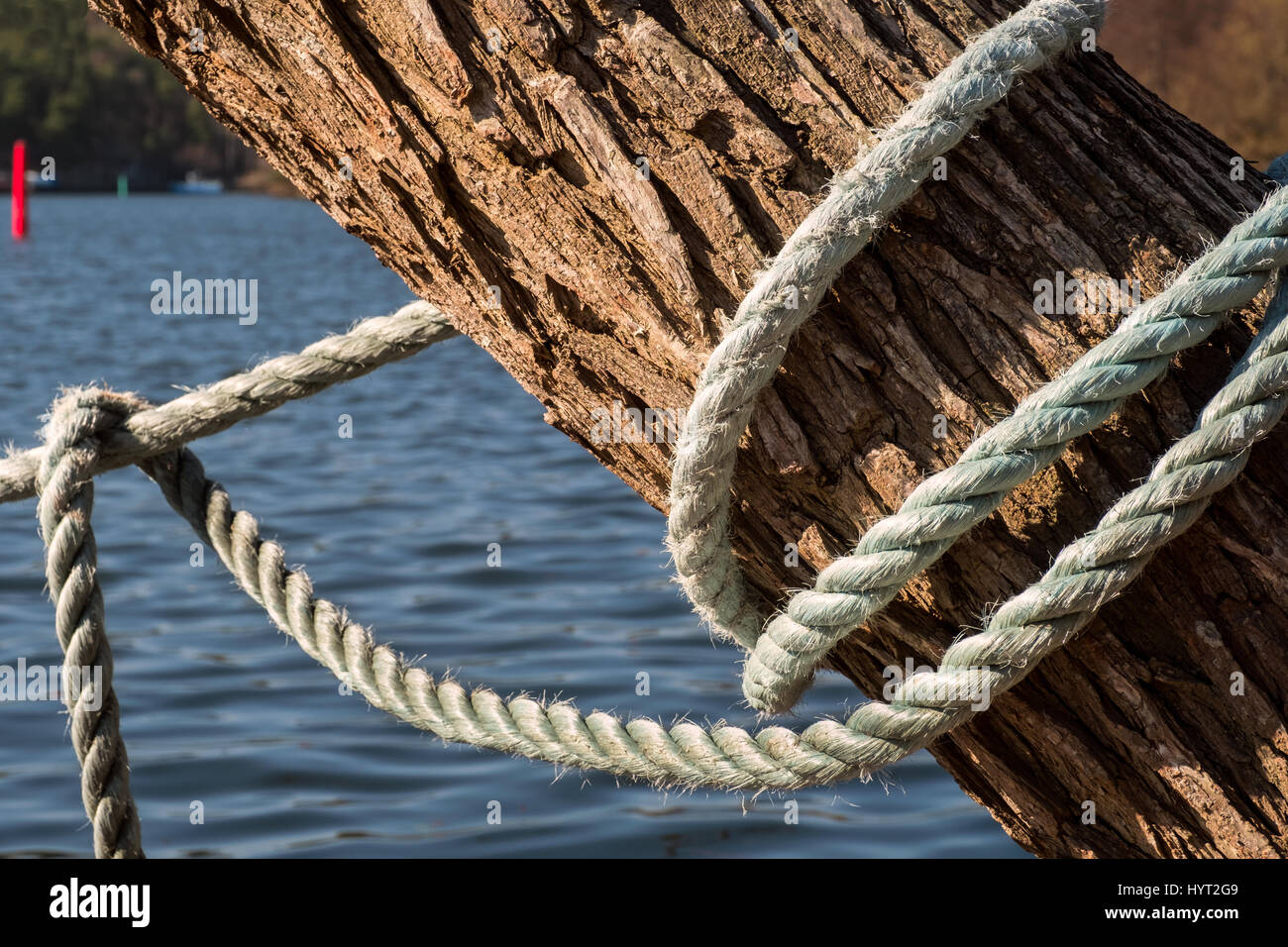 Acoplamiento barco soga atada a un árbol Fotografía de stock - Alamy