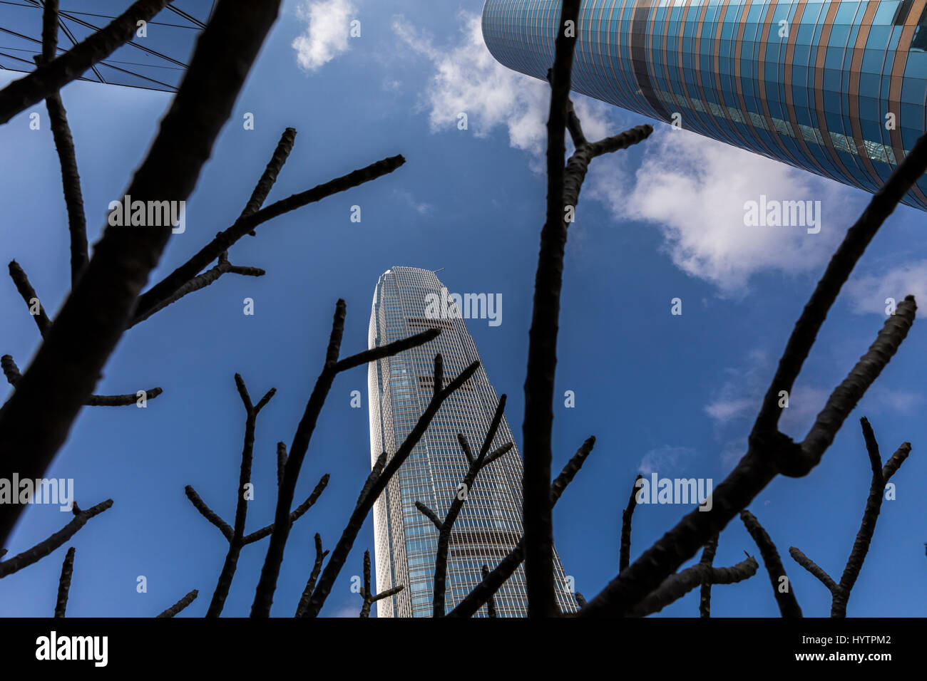 IFC de Hong Kong, el edificio más alto de la isla. Reflexiones del edificio capturado en un raro cielo azul claro día en Hong Kong. Foto de stock