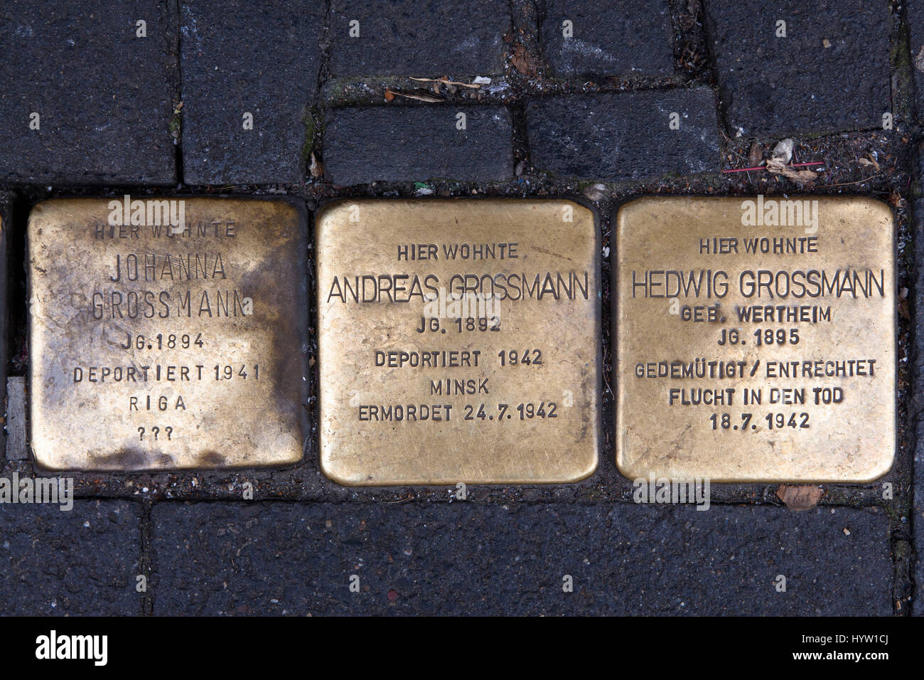 Alemania, Colonia, Stolpersteine (piedras de tropiezo) por el artista Gunter Demnig. Las piedras de conmemoración de las Víctimas del Nacionalsocialismo (Nazi). Foto de stock