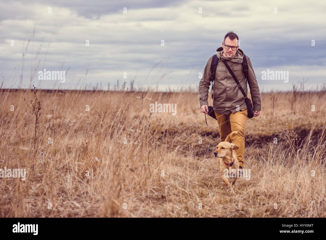Caminante y pasear perros pequeños amarillos en los prados en un día nublado Foto de stock