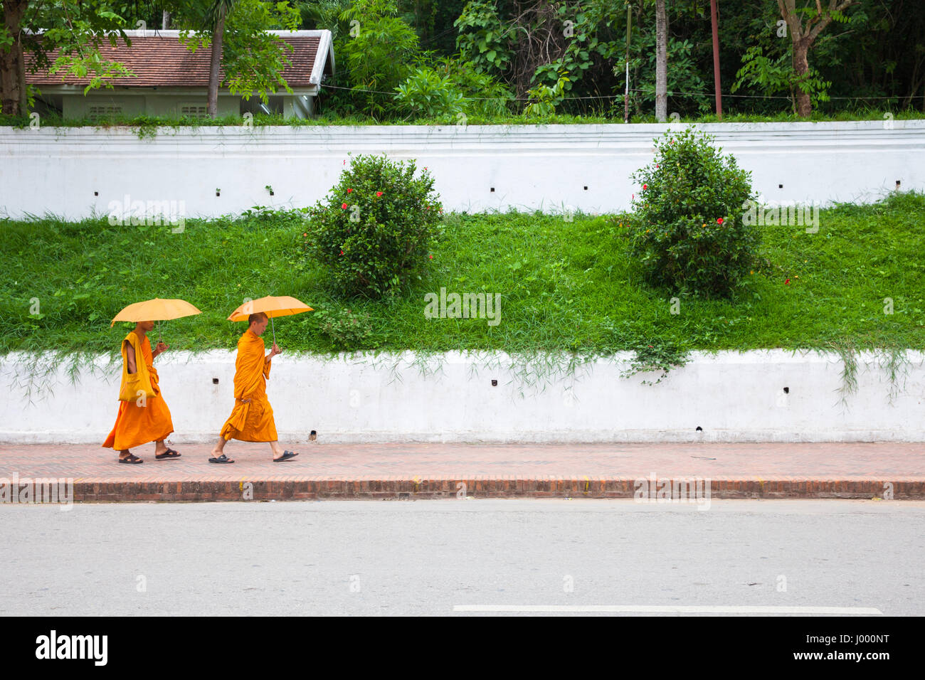 La República Democrática Popular Lao, Luang Prabang - 20 DE JUNIO: monjes budistas bajo paraguas caminando por las calles de Luang Prabang, Laos Foto de stock