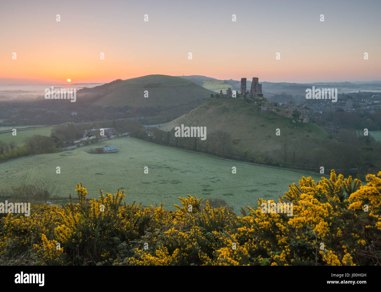 El castillo Corfe, en Dorset, Reino Unido. El 8 de abril de 2017. Gloriosa misty crisp amanecer sobre la Isla de Purbeck y la icónica, ruinas históricas de Corfe Castle. © DTNe Foto de stock