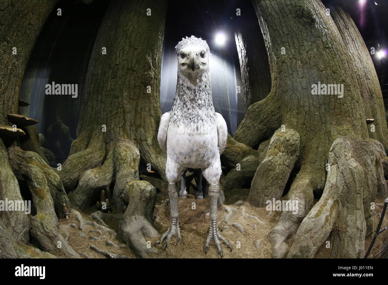 Estudios de Harry Potter en Londres son acusados de maltrato animal