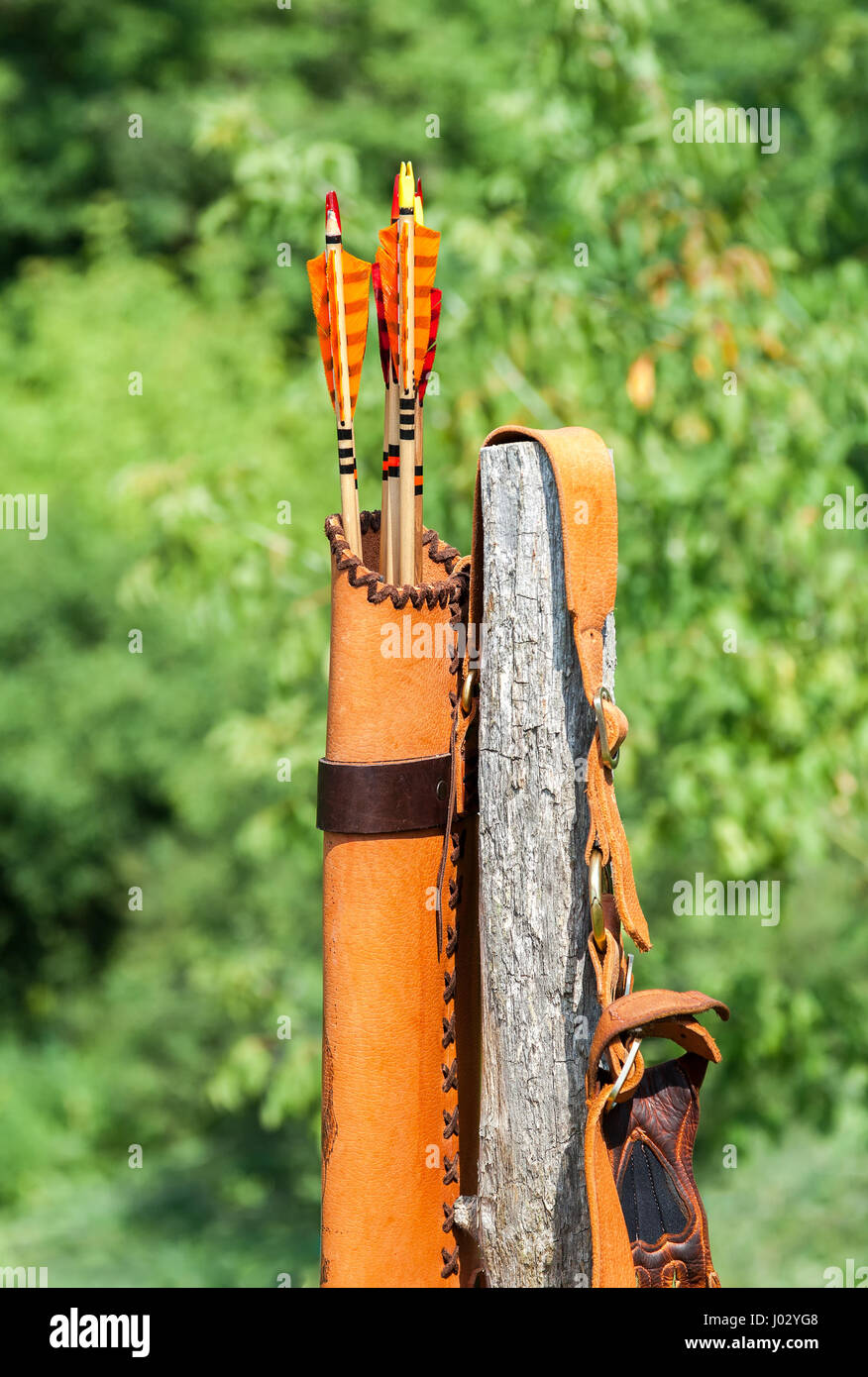 Flechas con plumaje de color naranja en el carcaj de cuero Fotografía de  stock - Alamy