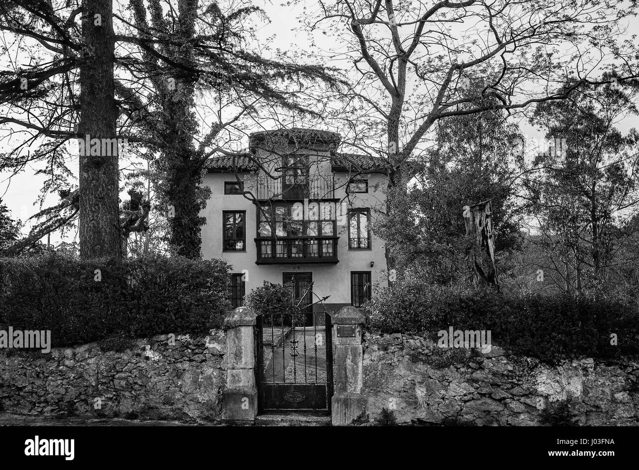 Hazas de cesto fotografías e imágenes de alta resolución Alamy