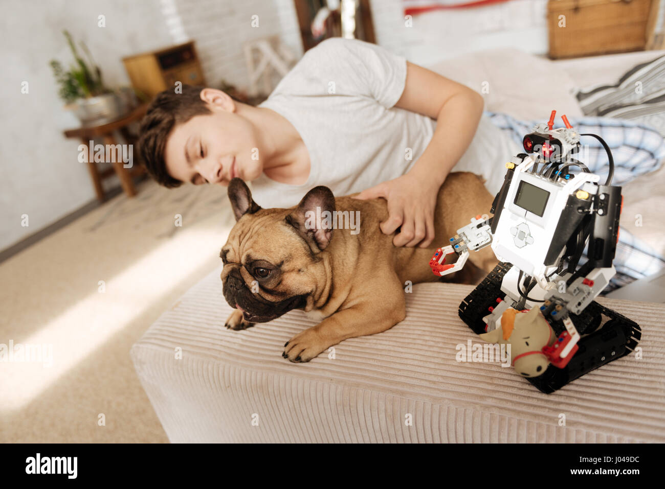 perro robot de juguete Fotografía de stock - Alamy