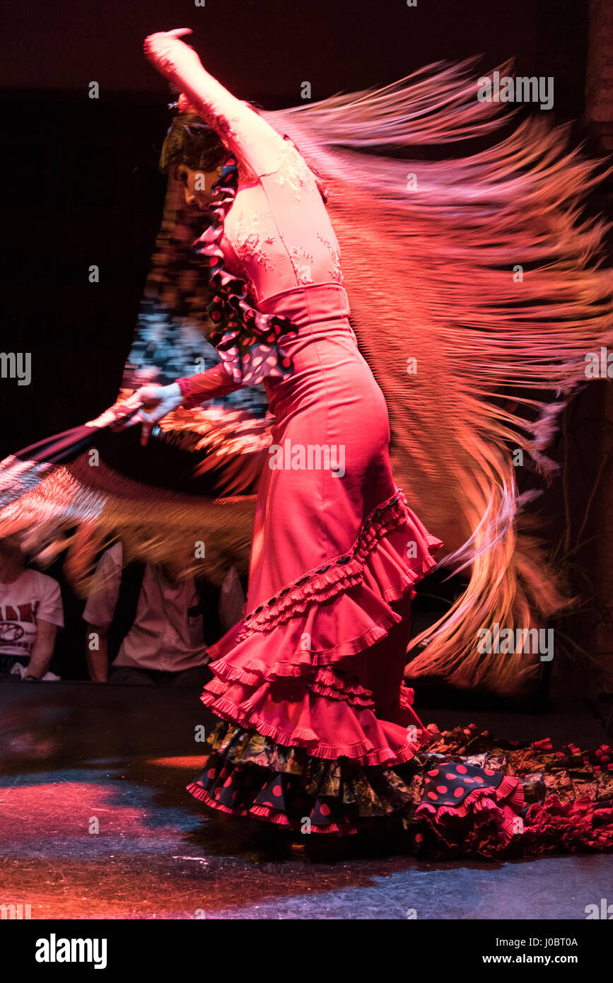 Todas las noches un espectáculo flamenco que se llevaba a cabo en el Museo del baile flamenco en el casco antiguo de Sevilla, España. El Museo del baile flamenco ofrece visita Foto de stock
