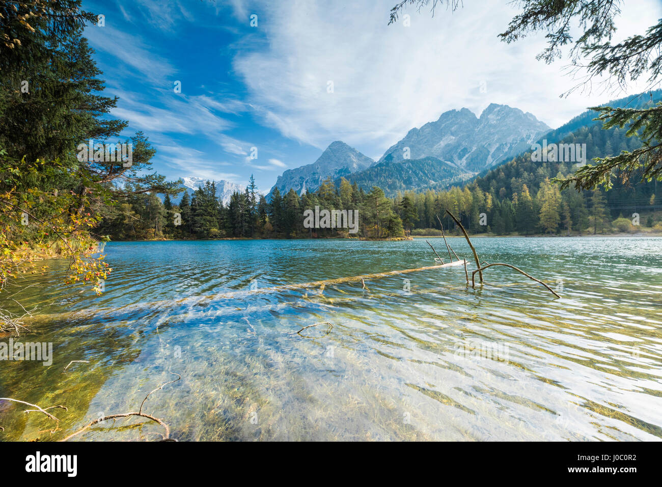 Lago Weissensee rodeado por bosques, con los Alpes de fondo Biberwier, Carintia, Tirol, Austria Foto de stock