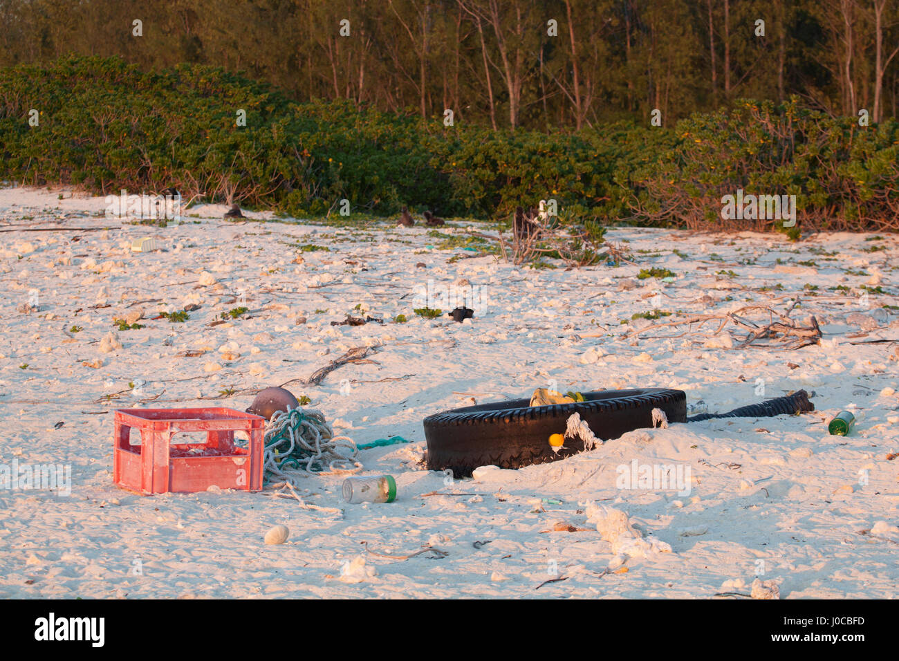 Basura, incluyendo el neumático, caja de plástico y cuerdas arrojado por el mar en la playa de una isla del Pacífico Norte Foto de stock