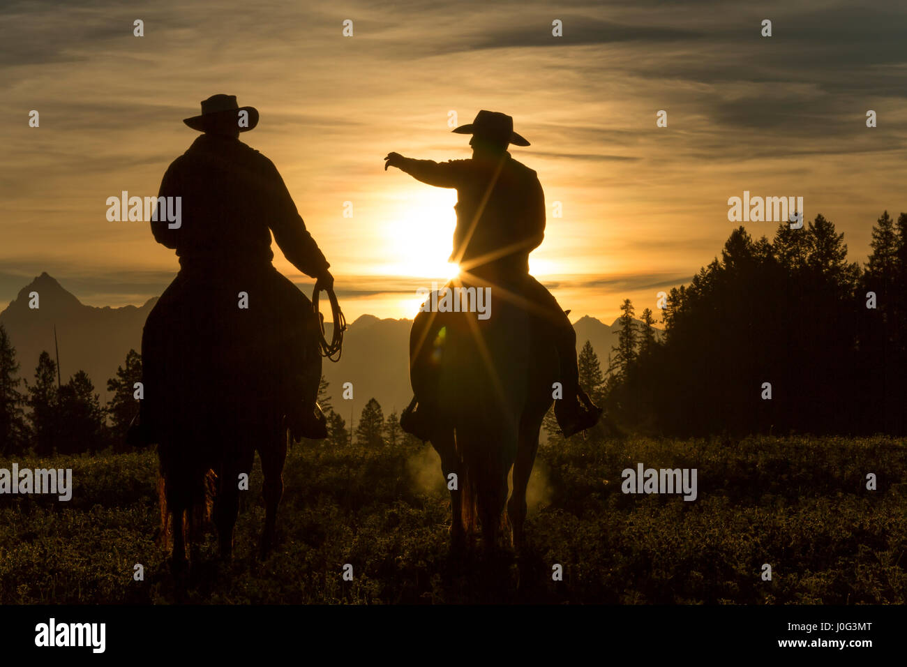 Vaquero montando a través de pastizales, con las montañas detrás, temprano en la mañana, British Colombia, Canadá Foto de stock