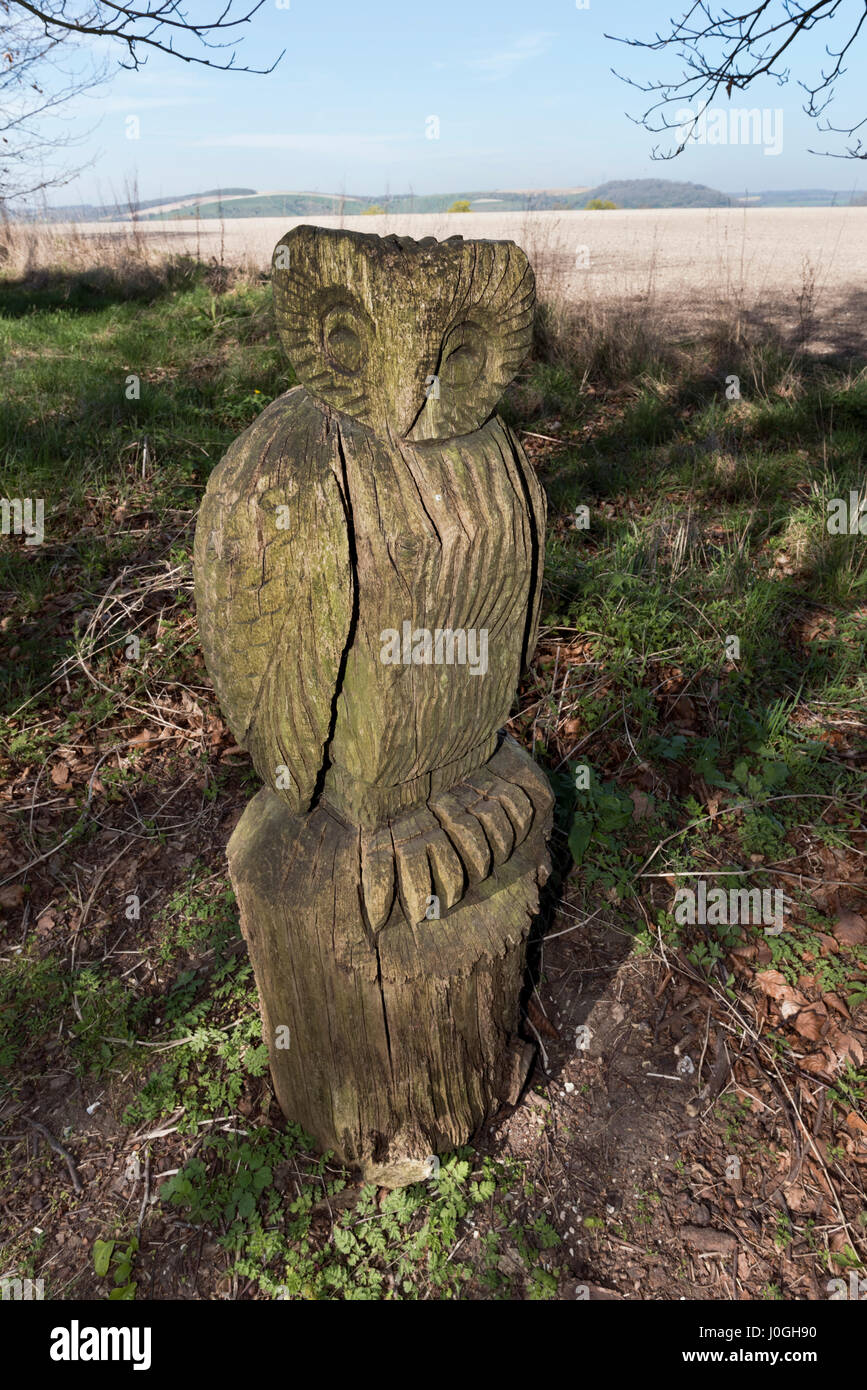 Owl escultura tallada en madera junto a un sendero público cercano Oriente Meon, South Downs, Hampshire, Reino Unido Foto de stock