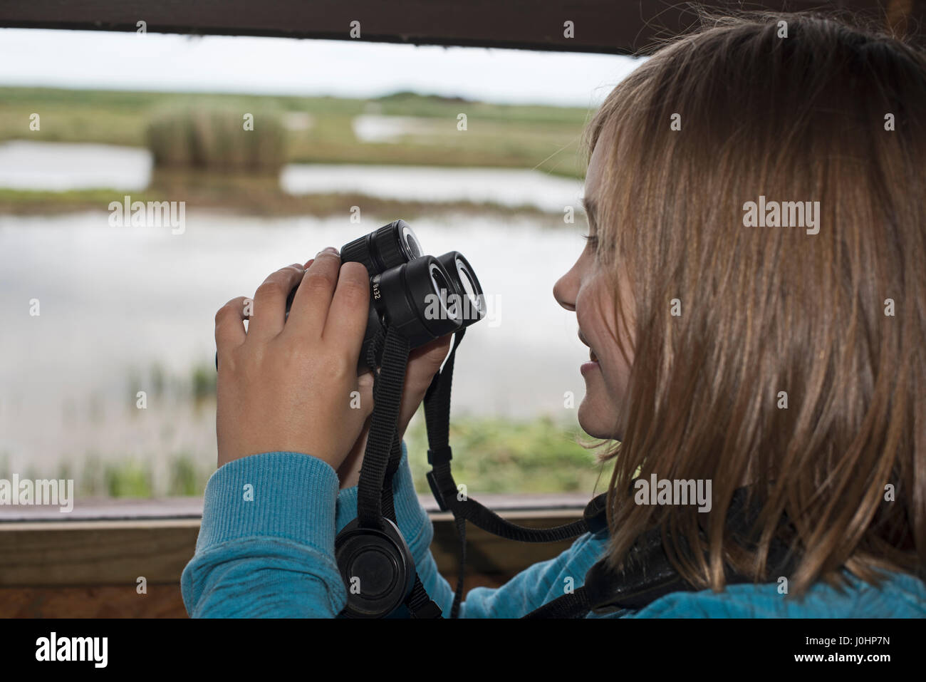 Chica joven (de 10 años) observación de aves en la reserva RSPB Minsmere verano (Modelo liberado) Foto de stock