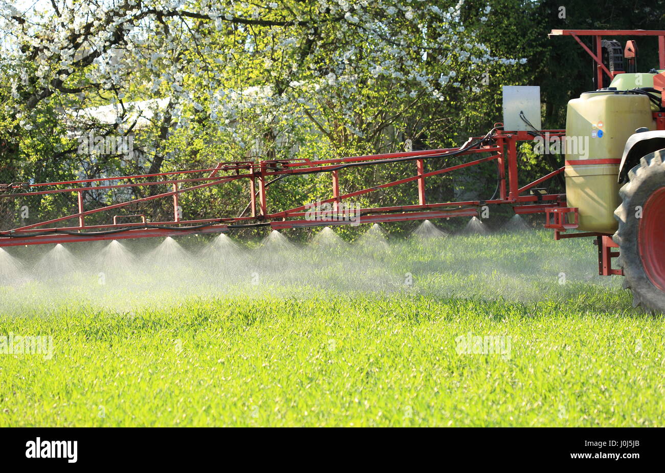 Un tractor acricultural aspersión de plaguicidas fitosanitarios Foto de stock