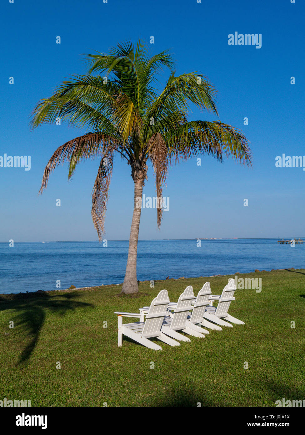 Sillas bajo las palmeras, en Waters Edge en Bokeelia en Pine Island en el suroeste de la costa del golfo de Florida Foto de stock