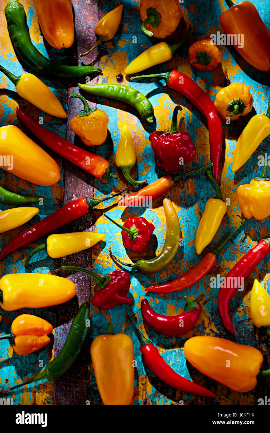 Verde, rojo, amarillo y naranja pimientos sobre fondo azul. Foto de stock