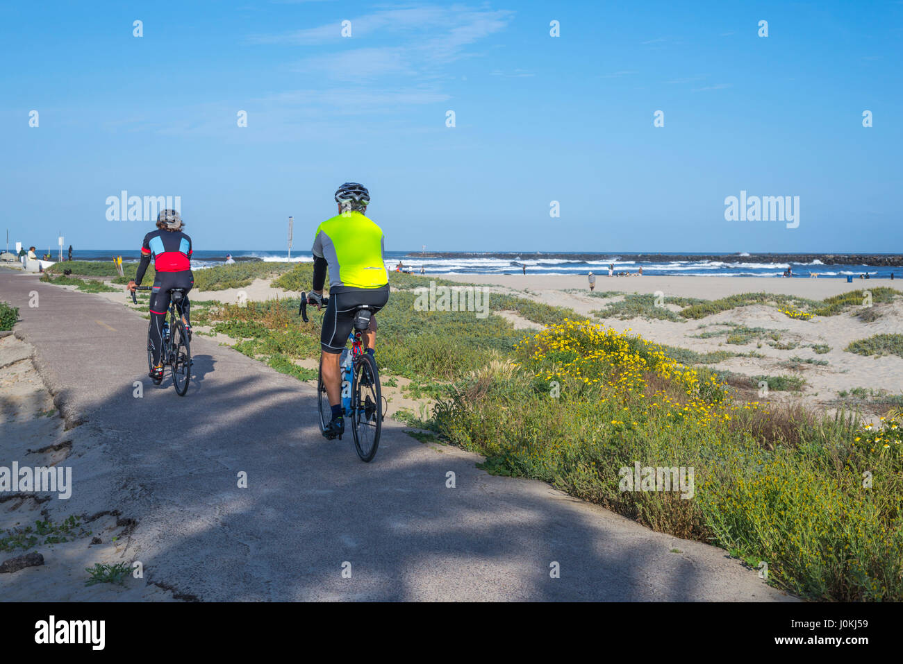 Bicicletas ruta san diego clearance