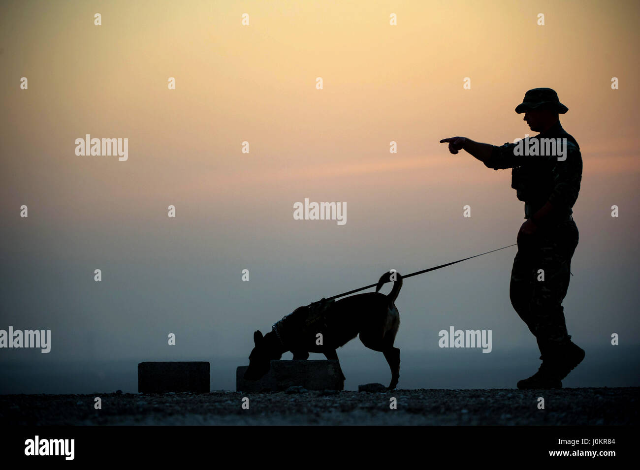 Un escuadrón de las Fuerzas Expedicionarias 380o perro de trabajo militar equipos completan un escenario de entrenamiento de detección Foto de stock