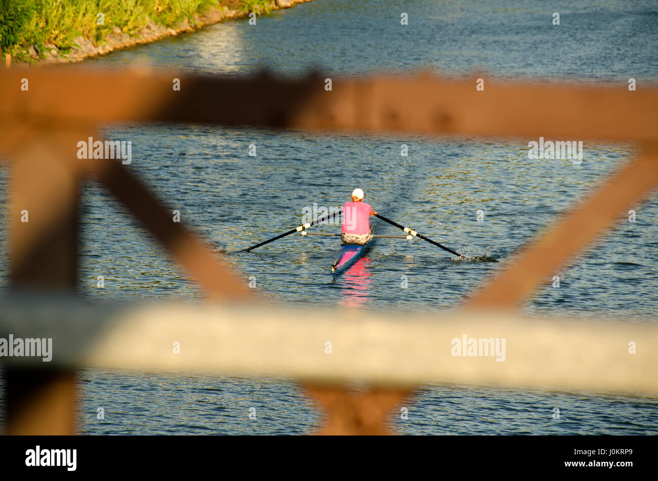 Canal Erie sculling, Fairport NY Foto de stock