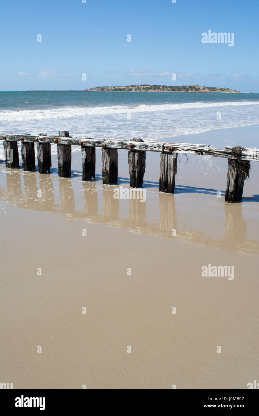 Espigón de madera utilizada para detener la erosión de arena en Victor Harbor, Península Fleurieu, al sur de Australia. Orientación vertical Foto de stock