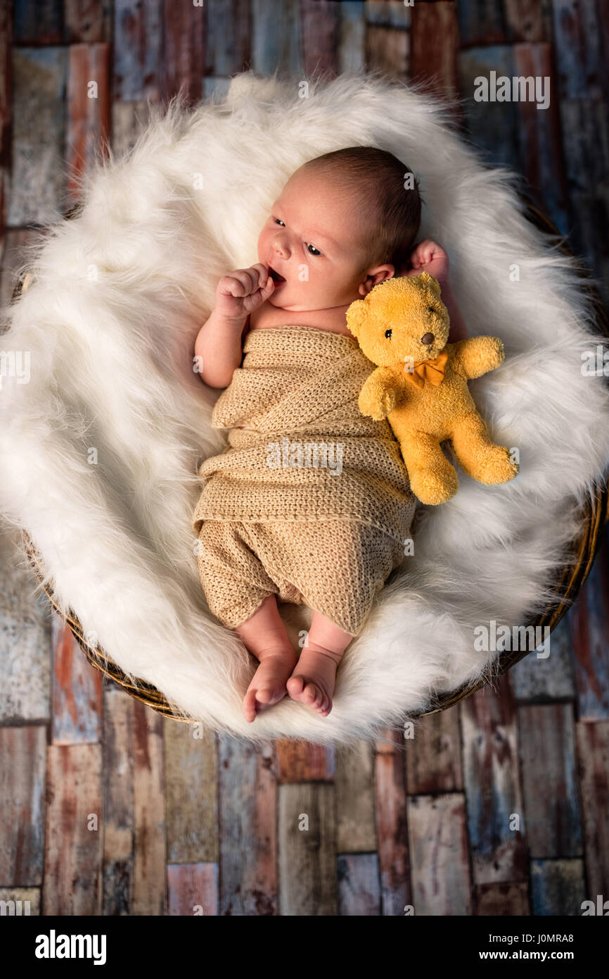 Bebé recién nacido con peluche fotografías e imágenes de alta resolución -  Alamy